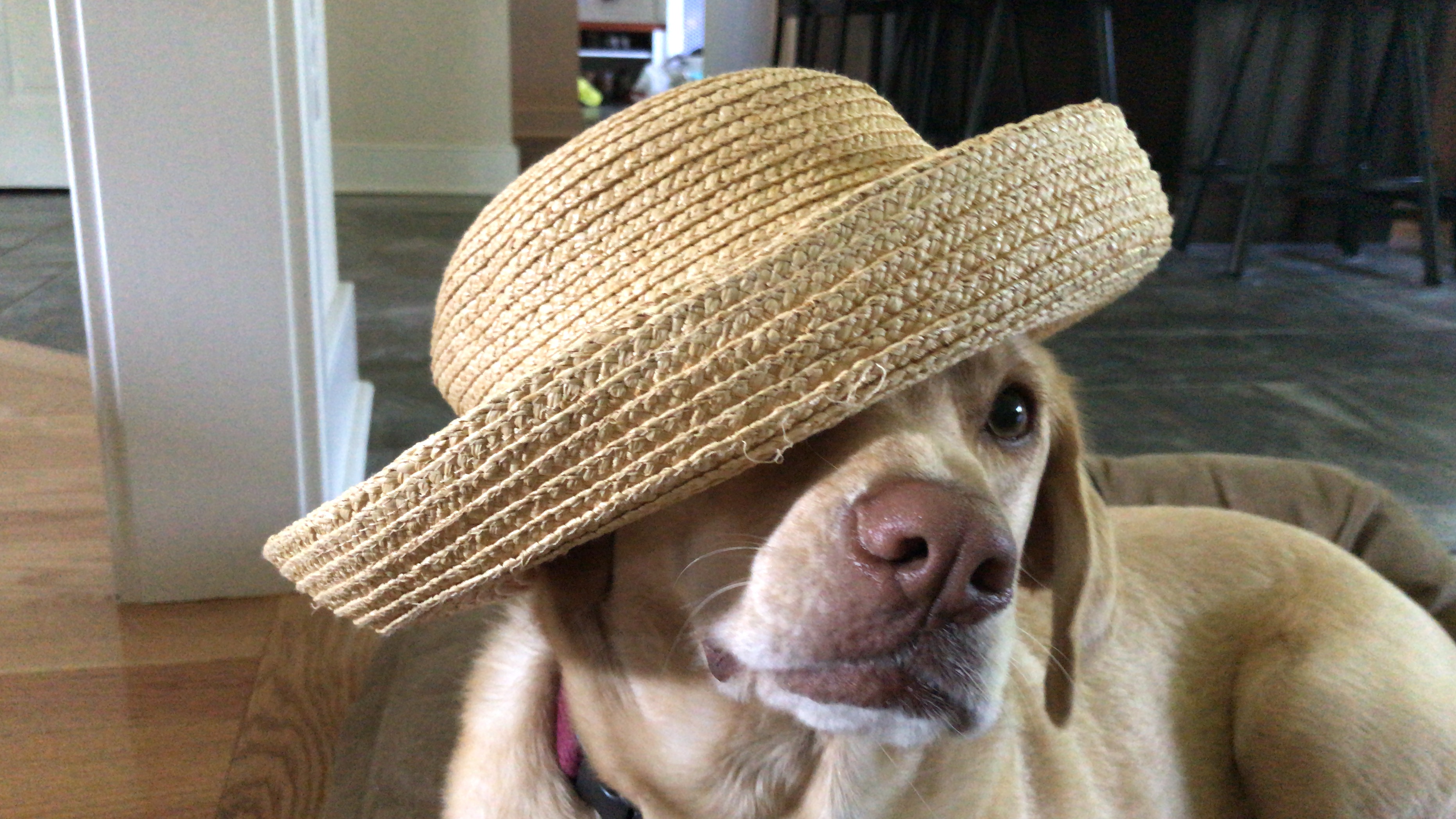 Hayden wearing Hat, Copyright Lynn Braender 2023