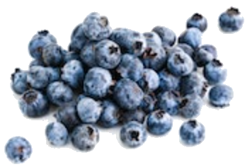 Picture of Blueberries by Eiliv-Sonas Aceron