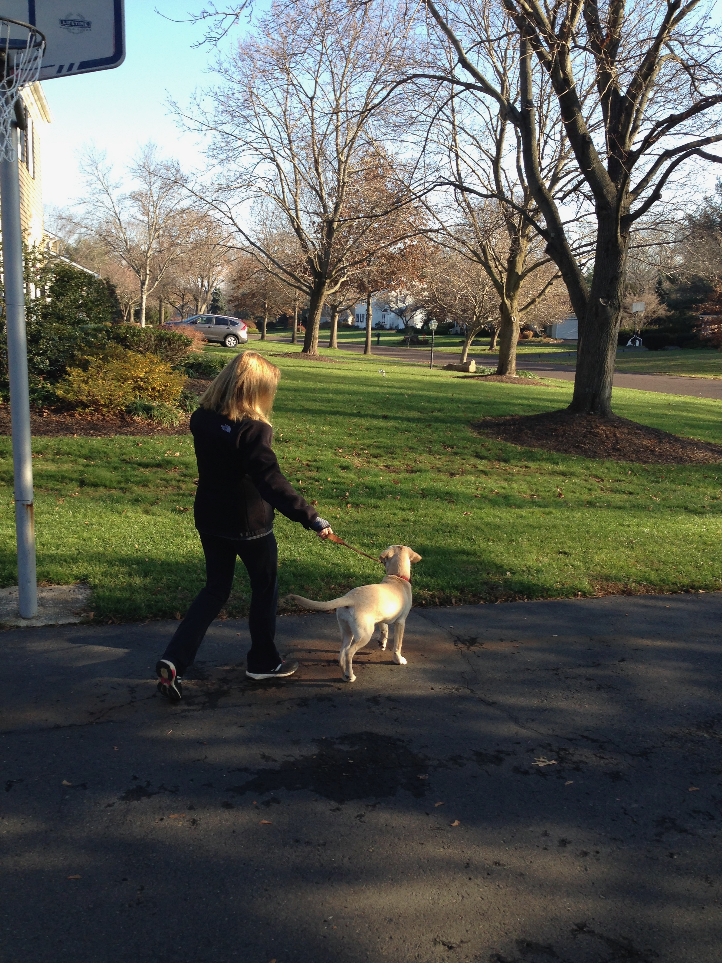 walking