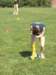 homecoming200850_small.jpg